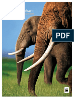 African Elephant - WWF Wildlife and Climate Change Series