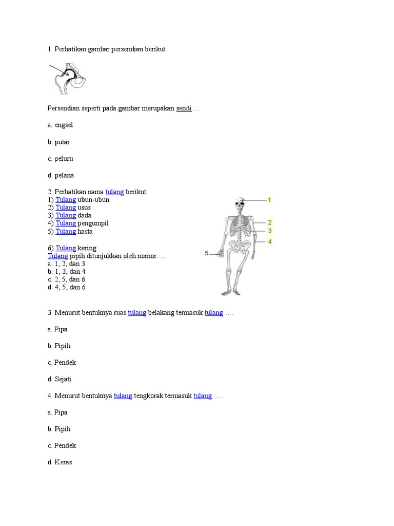 Bio Soal Pdf