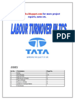 Tanishq Survey - Copy