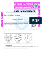 Ficha-Reinos-de-la-Naturaleza-para-Quinto-de-Primaria.pdf