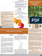 Establecimiento de Plantaciones Comerciales de Cedro Rojo (Cedrela Odorata L.) en Tamaulipas