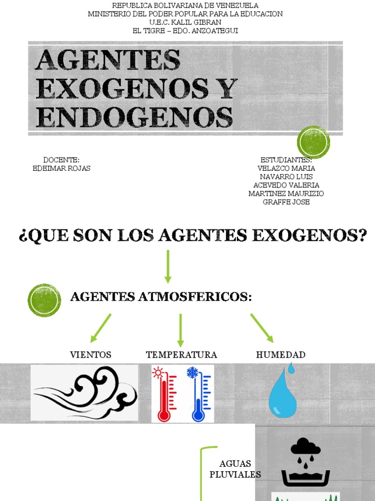 Agentes Exógenos y Endógenos en Procesos Naturales | PDF | Naturaleza