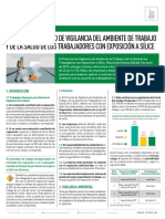 FICHA Resumen Protocolo de SíliceFinal.pdf