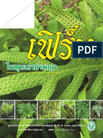 2554 เฟิร์น