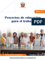 Proyectos Educacion para Trabajo Nivel 1 2 Portafolio