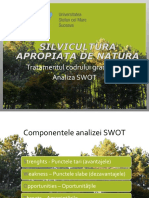 Bulugu-analizaSWOT.pdf