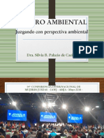 Amparo Ambiental 2018 Definitivo