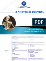 Sistema Nervioso Central4