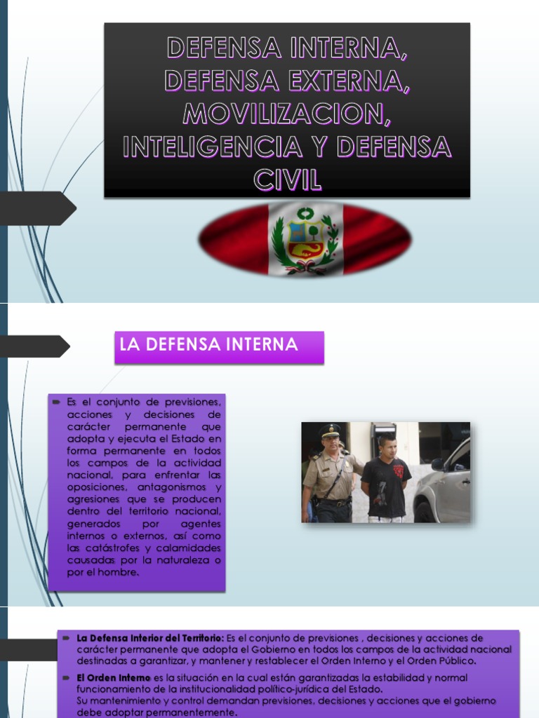 Defensa Interna, Defensa Externa, Movilizacion PDF Estado (política