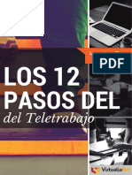 12 Pasos Del Teletrabajo