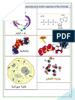 COURS Enérgétique 2017.pdf