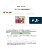 plagas.pdf