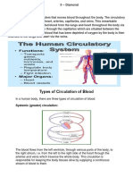 Types of Circulation of Blood