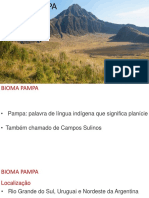 Aula Bioma Pampa