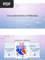 Eco Doppler Cardiogram A