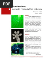 Amaro_-_Biomimetismo