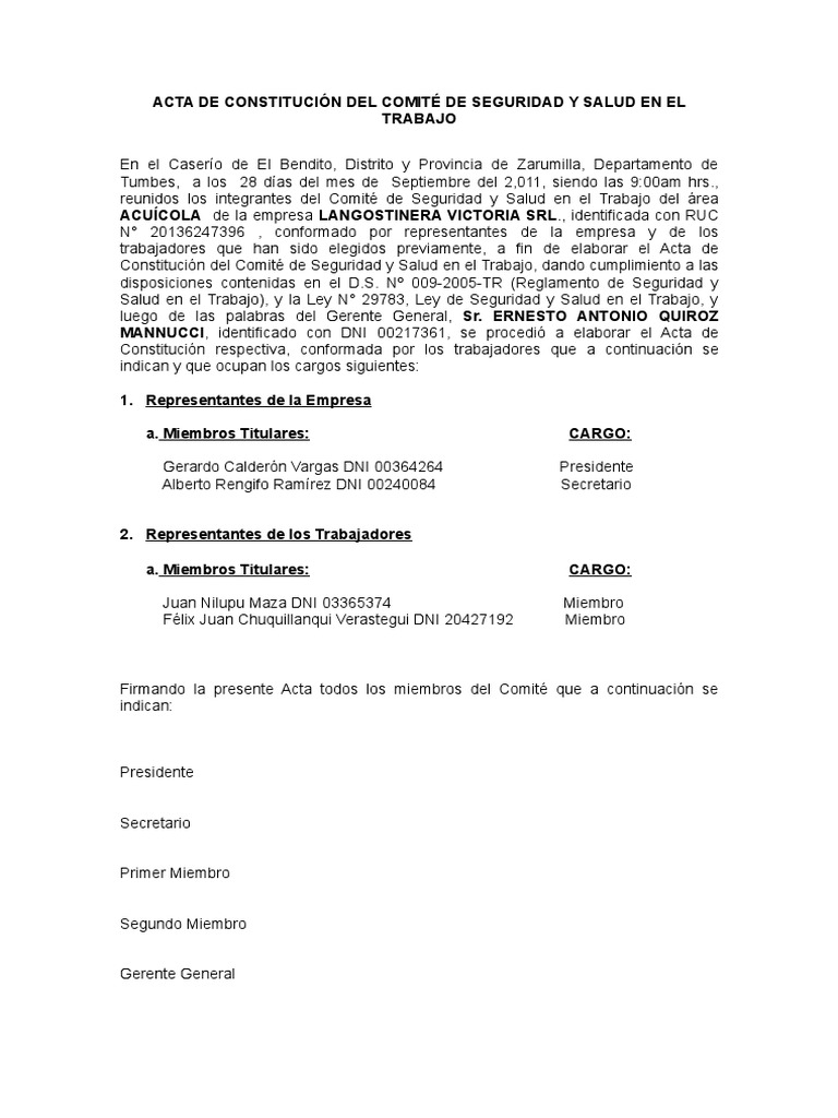 Acta de Constitución Del Comité de Seguridad y Salud en El Trabajo | PDF