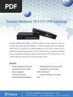 Yeastar TE Series PRI VoIP Gateways Datasheet En