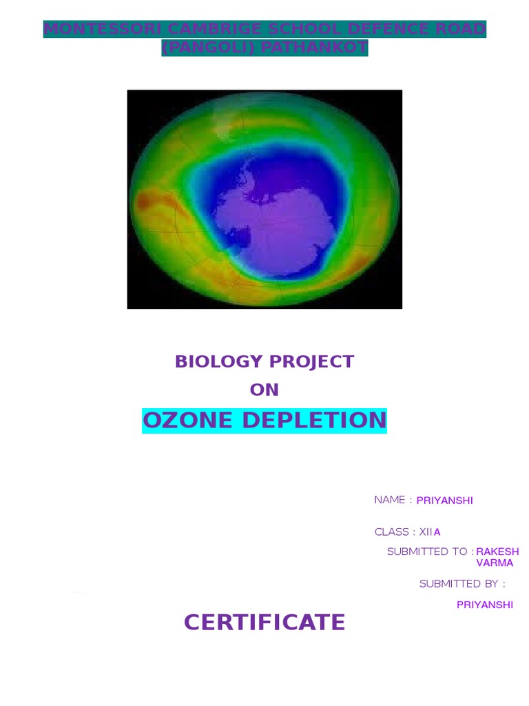 Ozone Depletion Biology Project | PDF | Ozone Depletion ...