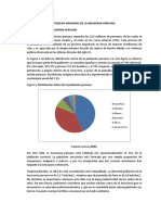 Pueblos Indigenas de La Amazonia Peruana