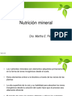 4. Nutricion Mineral