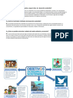 Infografia El Desarrollo Sostenible