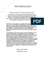 violencia contra la mujer.docx