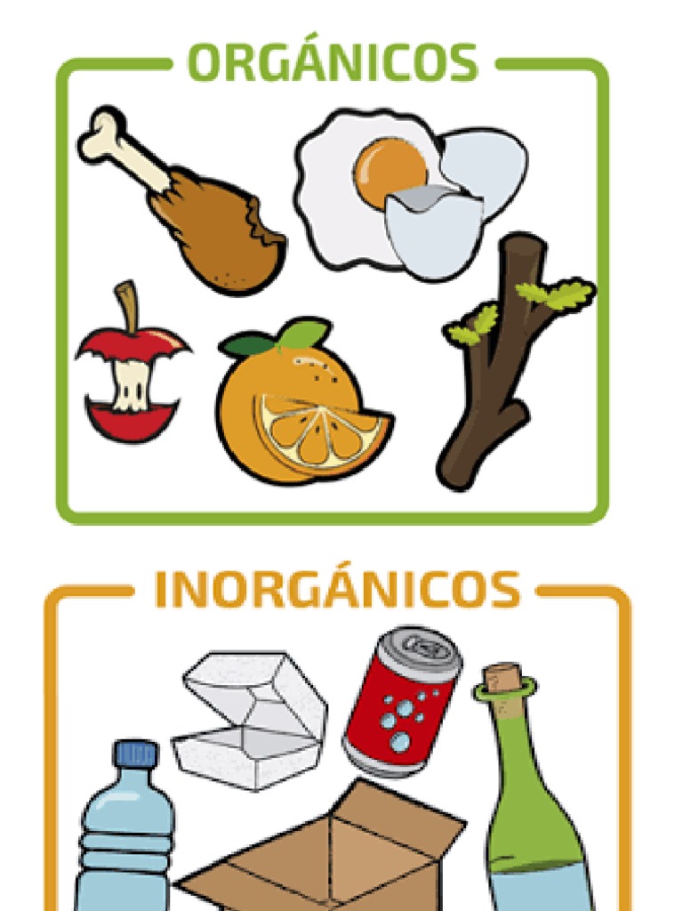 Basura Organica e Inorganica | PDF