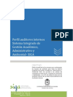 Perfil Auditor Interno