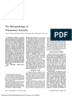 The Histopathology of Filamentary Keratitis