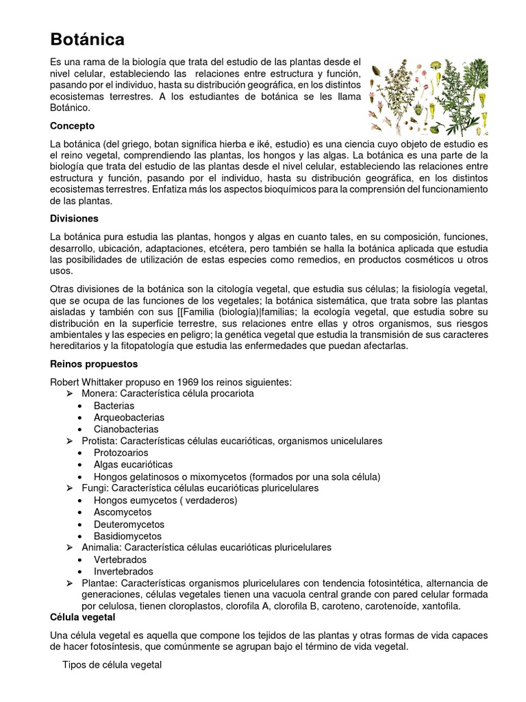 Botanica Documento | PDF | Citoplasma | Plantas