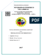 379396993-INFORME-LECHUGA-HIDROPONICA.docx