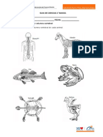 Guía de Ciencias Animales Vertebrados