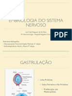 Aula Embriologia SN.pdf