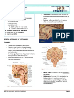 Chapter 12 The Thalamus and Its Connections