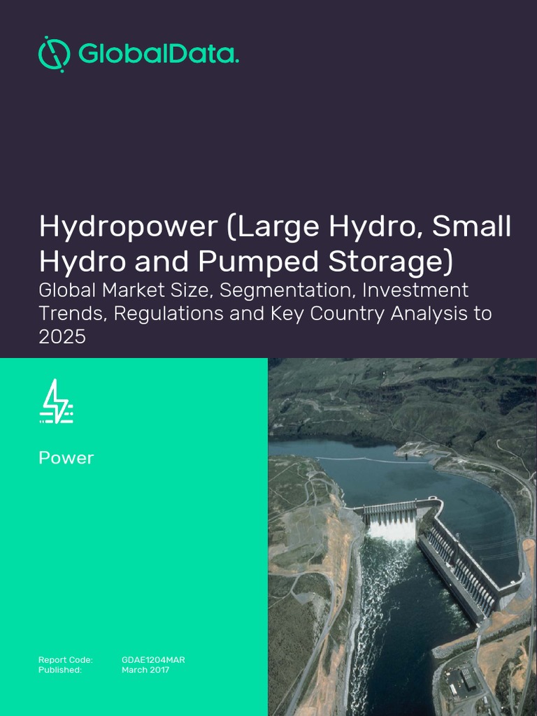 Hydropower (Large Hydro, Small Hydro and Pumped Storage) PDF