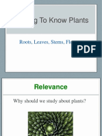 Getting To Know Plants