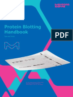 Protein Blooting Handbook