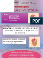 Digestive System Group 1