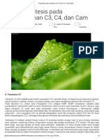 Fotosintesis Pada Tumbuhan C3 C4 Dan Cam PDF