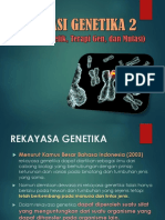 Informasi genetik 2