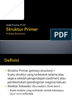 Primery Structure