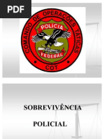 Cautela Na Acao Policial