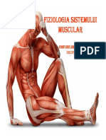 Fiziologia Sistemului Muscular