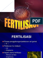 4fertilisasi Edited