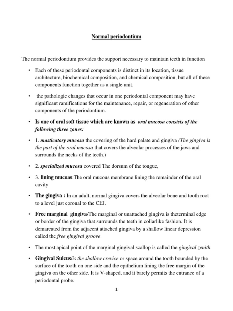 The Normal Periodontium Provides The Support Necessary To Maintain