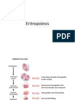 Eritropoiesis proses pembentukan sel darah merah