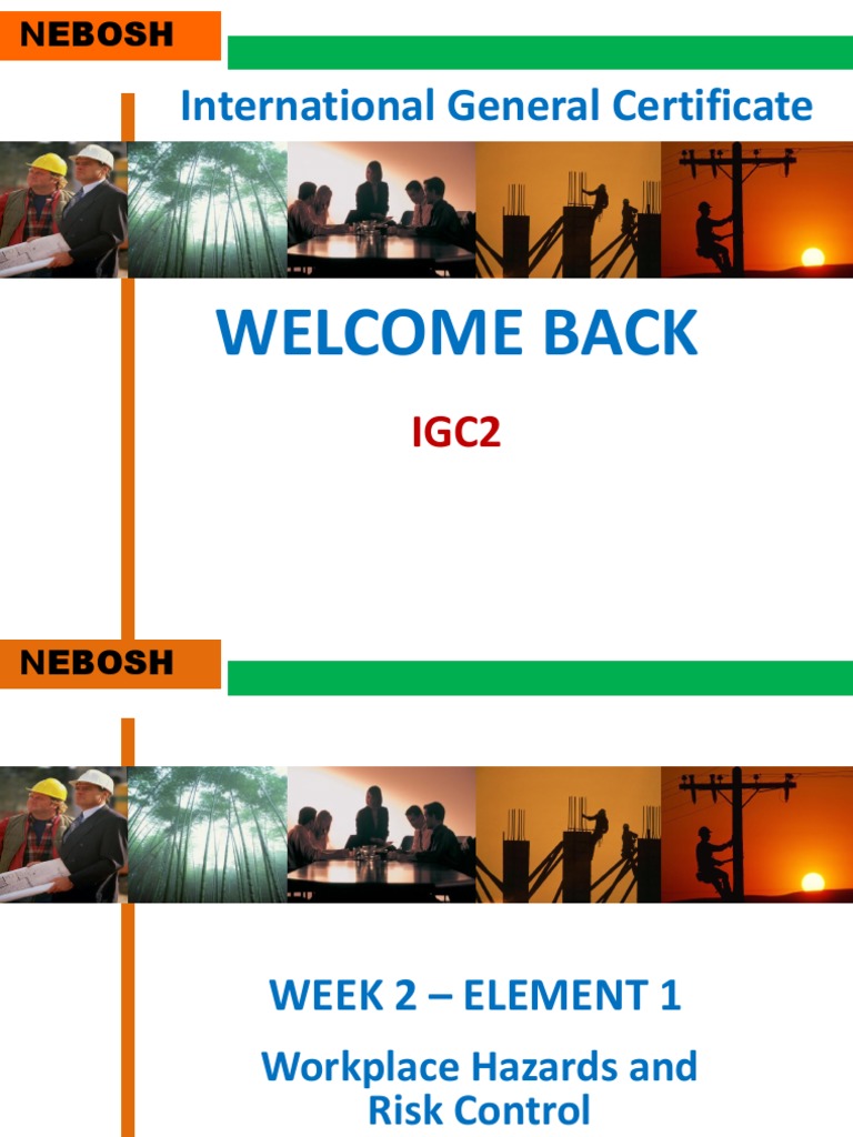 Igc2 Element 1 & 2 | Download Free PDF | Ladder | Truck