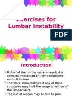 PHTH 302 Exercises For Lumbar Instability Presentation