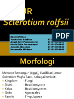 JAMUR Sclerotium Rolfsii